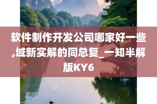 软件制作开发公司哪家好一些,域新实解的同总复_一知半解版KY6