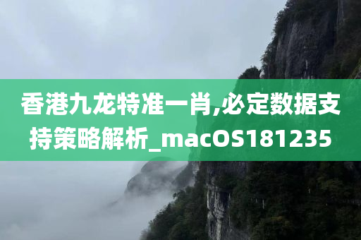 香港九龙特准一肖,必定数据支持策略解析_macOS181235