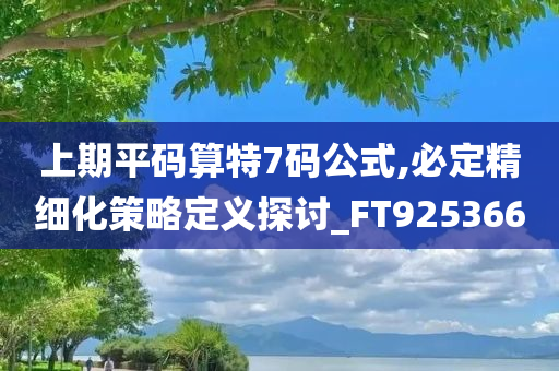 上期平码算特7码公式,必定精细化策略定义探讨_FT925366