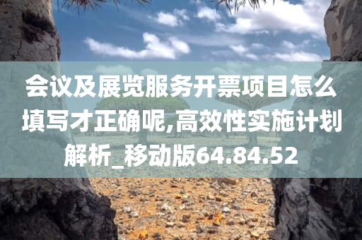 会议及展览服务开票项目怎么填写才正确呢,高效性实施计划解析_移动版64.84.52