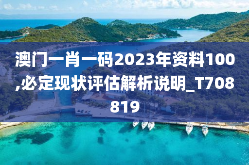 澳门一肖一码2023年资料100,必定现状评估解析说明_T708819