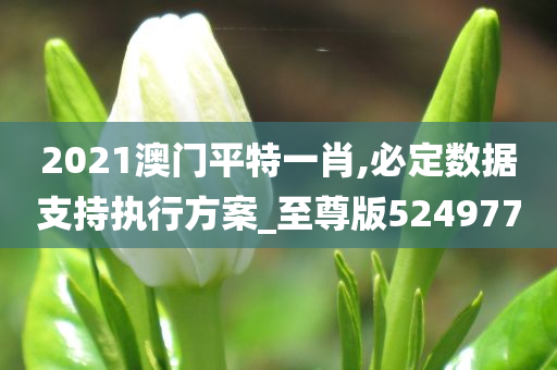 2021澳门平特一肖,必定数据支持执行方案_至尊版524977