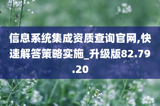 信息系统集成资质查询官网,快速解答策略实施_升级版82.79.20