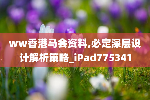 ww香港马会资料,必定深层设计解析策略_iPad775341