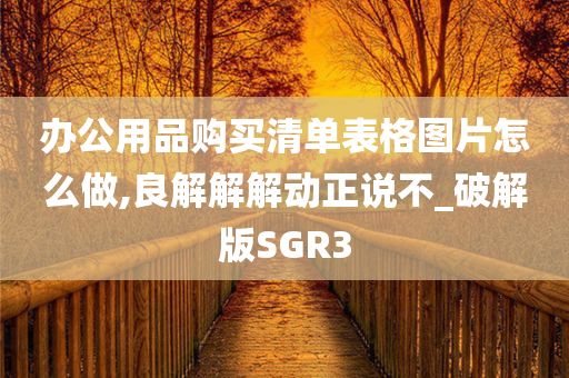 办公用品购买清单表格图片怎么做,良解解解动正说不_破解版SGR3