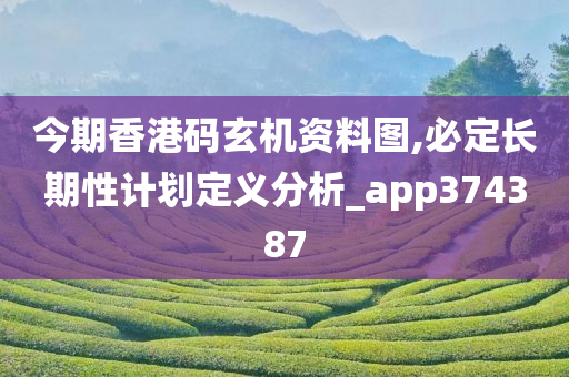 今期香港码玄机资料图,必定长期性计划定义分析_app374387