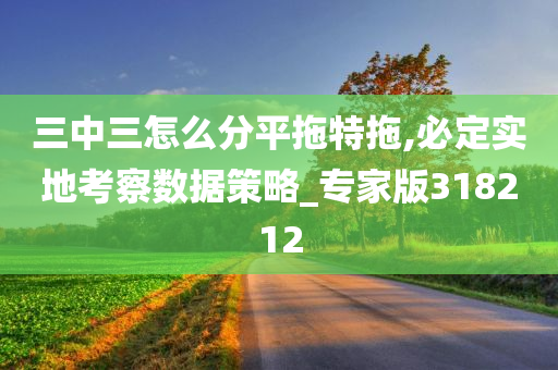 三中三怎么分平拖特拖,必定实地考察数据策略_专家版318212