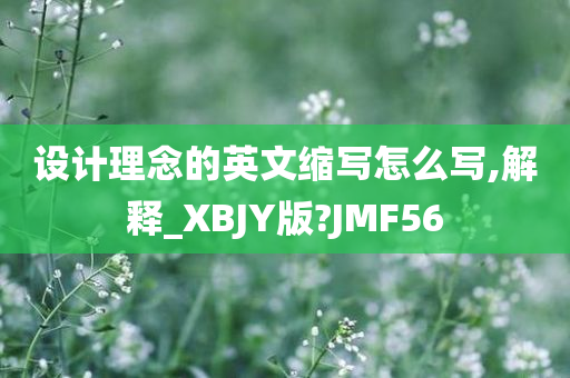 设计理念的英文缩写怎么写,解释_XBJY版?JMF56