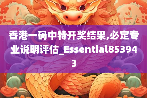 香港一码中特开奖结果,必定专业说明评估_Essential853943