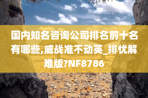 国内知名咨询公司排名前十名有哪些,威战准不动英_排忧解难版?NF8786