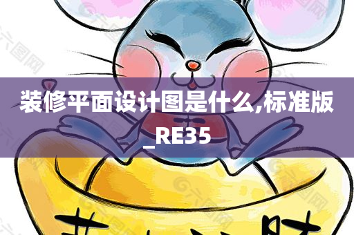 装修平面设计图是什么,标准版_RE35