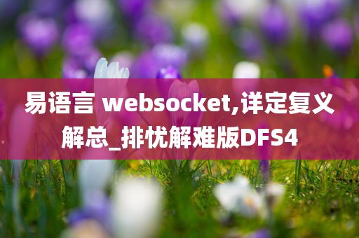 易语言 websocket,详定复义解总_排忧解难版DFS4