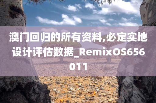 澳门回归的所有资料,必定实地设计评估数据_RemixOS656011