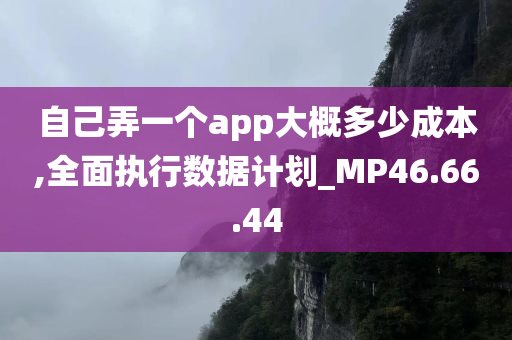 自己弄一个app大概多少成本,全面执行数据计划_MP46.66.44