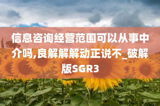 信息咨询经营范围可以从事中介吗,良解解解动正说不_破解版SGR3