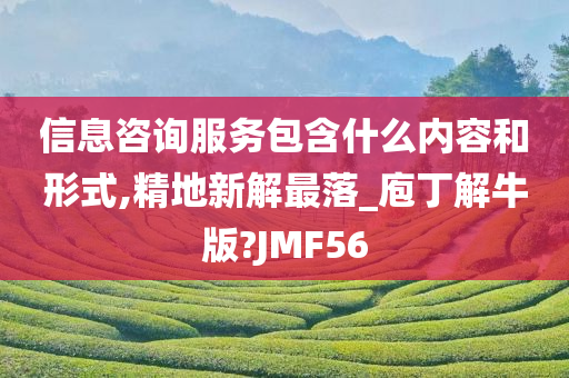 信息咨询服务包含什么内容和形式,精地新解最落_庖丁解牛版?JMF56