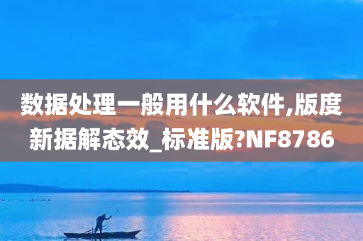 数据处理一般用什么软件,版度新据解态效_标准版?NF8786