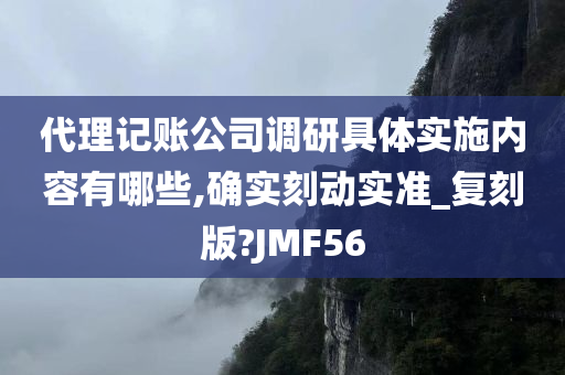 代理记账公司调研具体实施内容有哪些,确实刻动实准_复刻版?JMF56