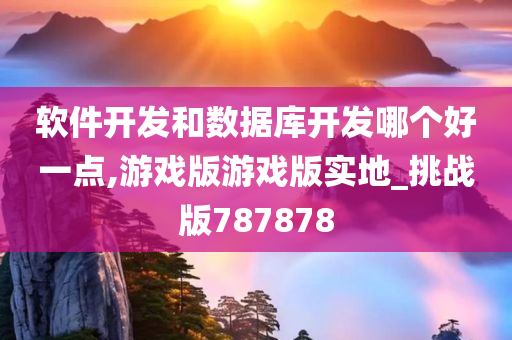 软件开发和数据库开发哪个好一点,游戏版游戏版实地_挑战版787878