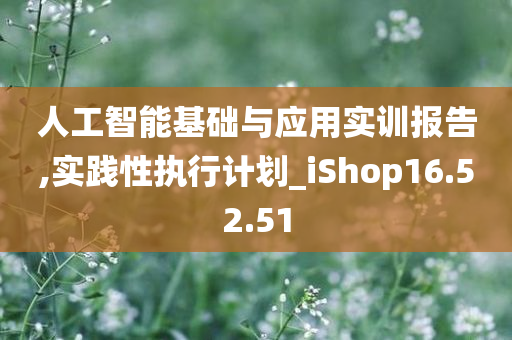 人工智能基础与应用实训报告,实践性执行计划_iShop16.52.51