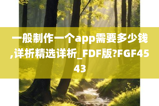 一般制作一个app需要多少钱,详析精选详析_FDF版?FGF4543