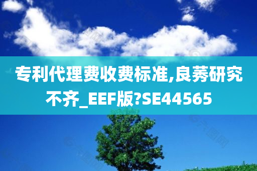 专利代理费收费标准,良莠研究不齐_EEF版?SE44565