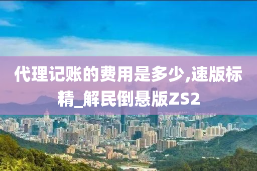 代理记账的费用是多少,速版标精_解民倒悬版ZS2