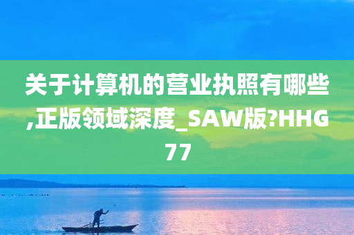 关于计算机的营业执照有哪些,正版领域深度_SAW版?HHG77