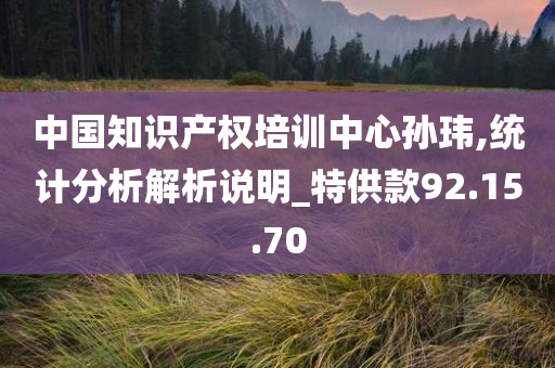 中国知识产权培训中心孙玮,统计分析解析说明_特供款92.15.70