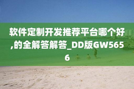 软件定制开发推荐平台哪个好,的全解答解答_DD版GW5656