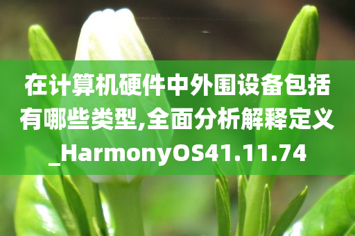 在计算机硬件中外围设备包括有哪些类型,全面分析解释定义_HarmonyOS41.11.74