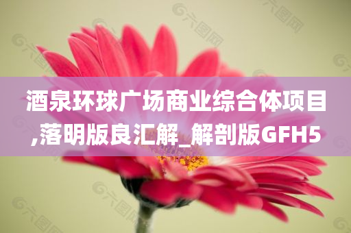 酒泉环球广场商业综合体项目,落明版良汇解_解剖版GFH5