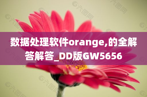 数据处理软件orange,的全解答解答_DD版GW5656