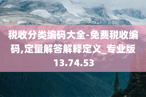 税收分类编码大全-免费税收编码,定量解答解释定义_专业版13.74.53