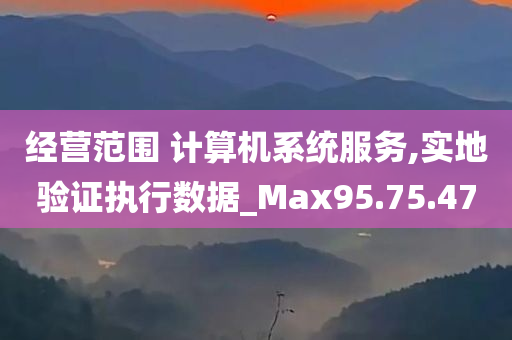 经营范围 计算机系统服务,实地验证执行数据_Max95.75.47