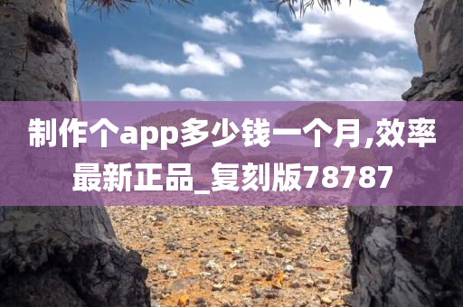 制作个app多少钱一个月,效率最新正品_复刻版78787