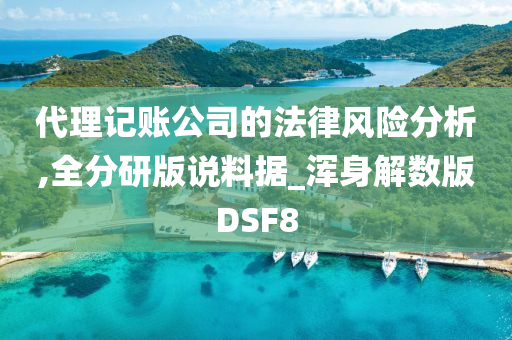 代理记账公司的法律风险分析,全分研版说料据_浑身解数版DSF8