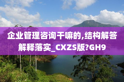 企业管理咨询干嘛的,结构解答解释落实_CXZS版?GH9