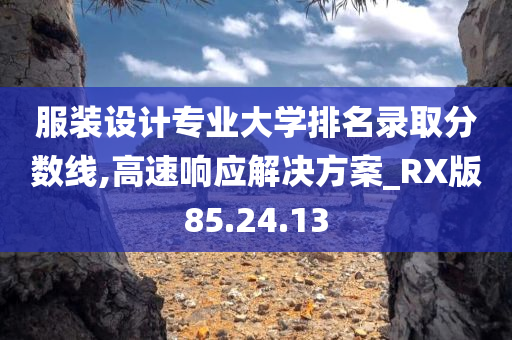 服装设计专业大学排名录取分数线,高速响应解决方案_RX版85.24.13