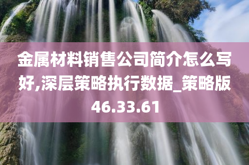 金属材料销售公司简介怎么写好,深层策略执行数据_策略版46.33.61