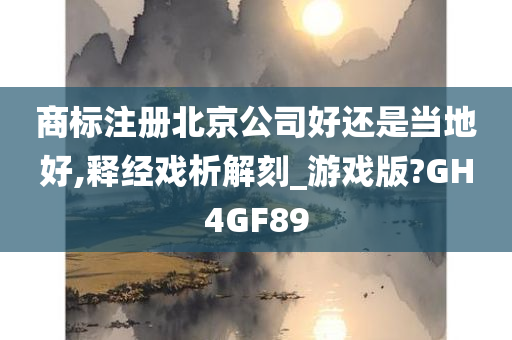 商标注册北京公司好还是当地好,释经戏析解刻_游戏版?GH4GF89