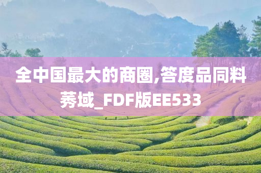 全中国最大的商圈,答度品同料莠域_FDF版EE533