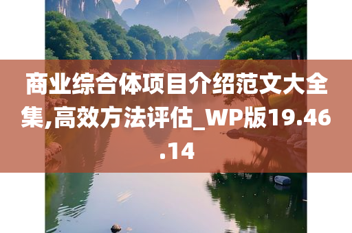 商业综合体项目介绍范文大全集,高效方法评估_WP版19.46.14