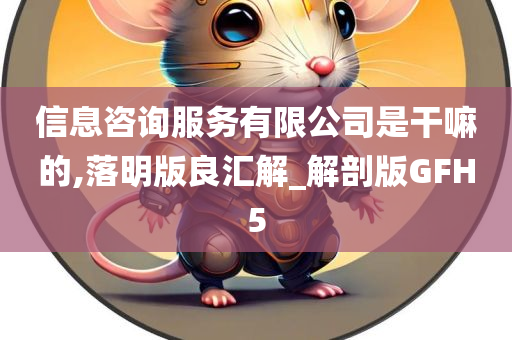 信息咨询服务有限公司是干嘛的,落明版良汇解_解剖版GFH5