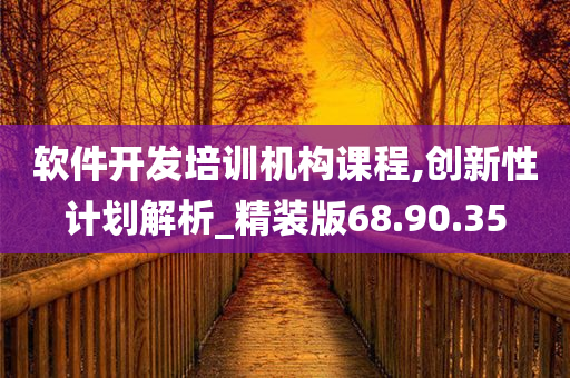 软件开发培训机构课程,创新性计划解析_精装版68.90.35