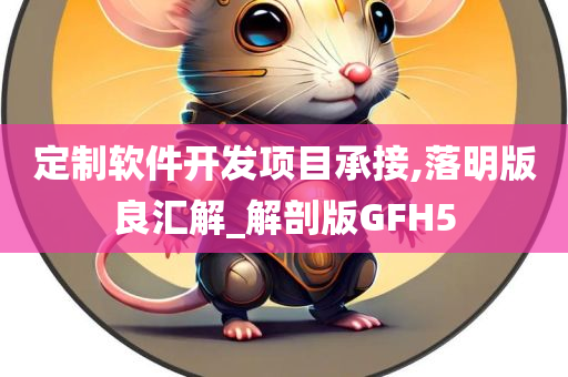 定制软件开发项目承接,落明版良汇解_解剖版GFH5