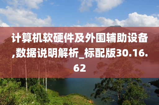 计算机软硬件及外围辅助设备,数据说明解析_标配版30.16.62