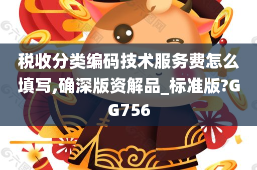 税收分类编码技术服务费怎么填写,确深版资解品_标准版?GG756