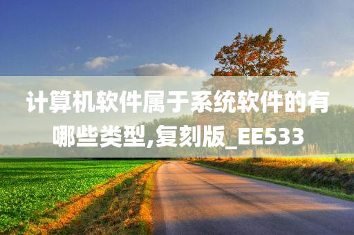 计算机软件属于系统软件的有哪些类型,复刻版_EE533