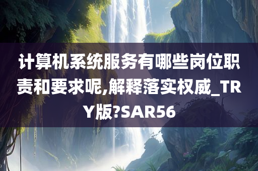 计算机系统服务有哪些岗位职责和要求呢,解释落实权威_TRY版?SAR56